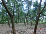 52963CIMG4007_调整大小.JPG