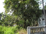 15967IMG_4518.JPG