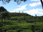 13646IMG_3907.JPG