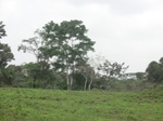 48331CIMG4668.JPG