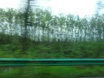 52091CIMG0110.JPG