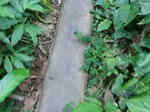 48729CIMG5066.JPG