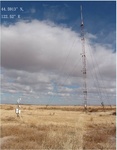 25974Tongyu_grassland.jpg
