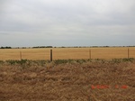 29819CIMG1222.JPG