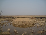8445IMG_0270.JPG