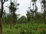 53680CIMG7067.JPG