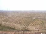 4613RIMG0048.JPG