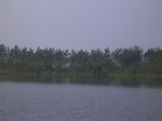 643R0015151.jpg