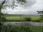 21946DSC00199.JPG