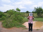 1041310-mixed-others-rice-waterb.gif