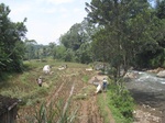 15260IMG_4082.JPG