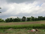 31199CIMG1061.JPG