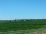 28964CIMG0662.JPG