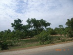 8907nigeria 119.jpg