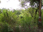 499320042008(5).JPG