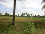 31556CIMG1422.JPG