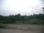 4089RIMG0394.JPG