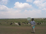 9387gt071a-rangelands.gif