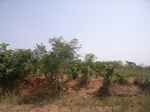 9048RIMG0126.JPG
