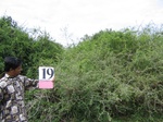 1176520-shrubland-iucna.jpg