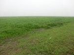 51769CIMG0020.JPG