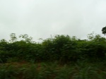 20657P1020514.JPG