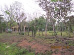 31910IMG_5331.JPG