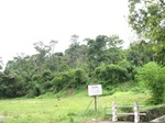 14525IMG_4884.JPG