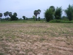 34539RIMG0004.JPG