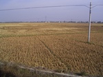 3178R0017212.JPG