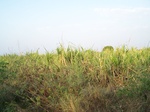 1762422042008(104).JPG