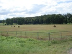 32316p55_s.jpg
