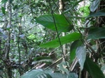 48012CIMG4349.JPG