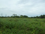 55114Berau (430).JPG