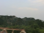 50074CIMG6411.JPG