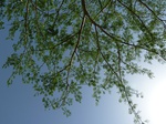 19274P1010120.JPG