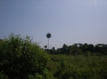 8958RIMG0033.JPG