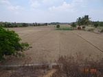 51823Tank ID 1800047 Eidigadasarahalli 2.JPG