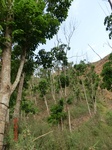 53453CIMG6786.JPG