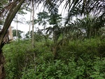 46002CIMG0291.JPG