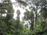 15332IMG_4172.JPG
