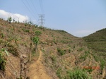53243CIMG6481.JPG