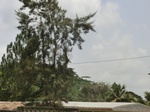 49272CIMG5609.JPG