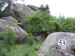 1052153-forest-rocky-outcrop-b.gif