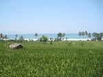 14000IMG_4317.JPG