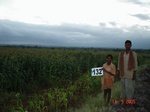 124880132c-irrigated-supplemental-groundwater-maize-dominant-sugarcane-horsegram-sorghum.gif