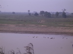 2403 012.jpg