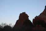 2022-10-31_16-43-33_C4E54FF4-DFE7-4F74-A7AB-11229A1D4440.jpeg
