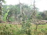 49125CIMG5462.JPG