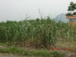 32666CIMG1795.JPG